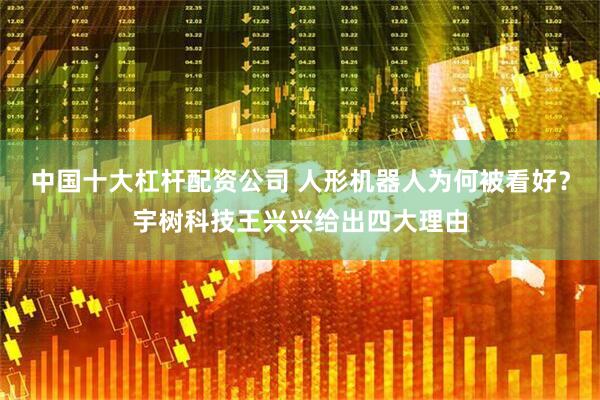 中国十大杠杆配资公司 人形机器人为何被看好？宇树科技王兴兴给出四大理由