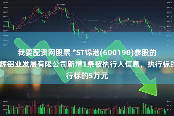 我要配资网股票 *ST锦港(600190)参股的赤峰启辉铝业发展有限公司新增1条被执行人信息，执行标的5万元