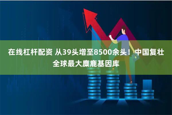 在线杠杆配资 从39头增至8500余头！中国复壮全球最大麋鹿基因库